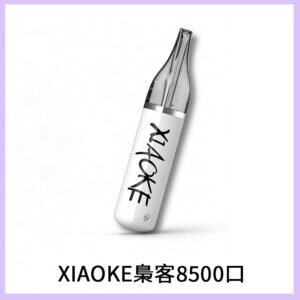 梟客XIAOKE8500口拋棄式一次性電子煙 口紅款高顏值設計